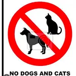 Palma Apartament