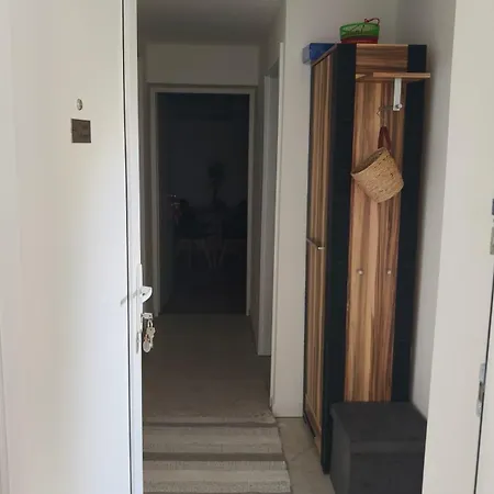 Palma * Póla